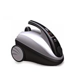 بخارشوی دلمونتی