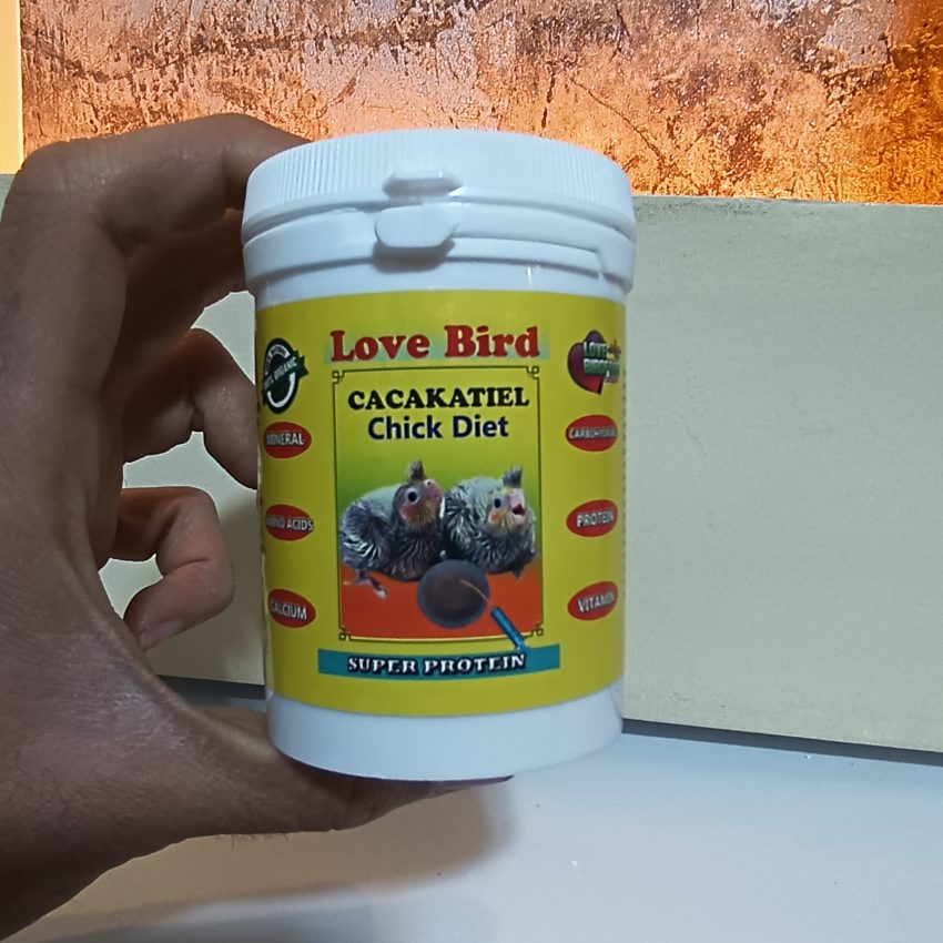 سرلاک LOVE bird